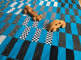 A La Mode Cutie Pattern (4 pack)